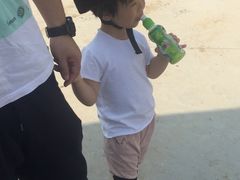-枫露马术学院(藏书校区)