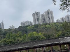 -龙头寺公园