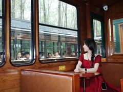 -合肥滨湖国家森林公园