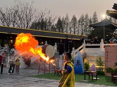 -祥源·阜阳生态乐园