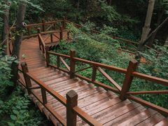 -大岭沟猕猴桃谷风景区