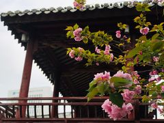 -龙潭水乡