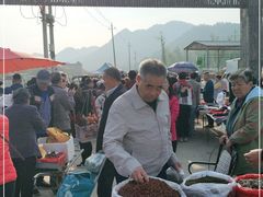 -示范集贸市场