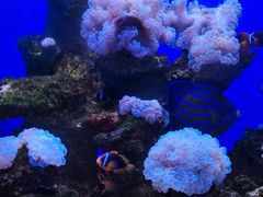 -多彩贵州城极地海洋世界