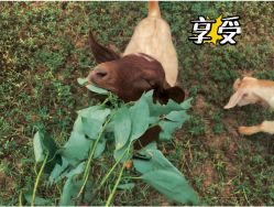 -東田造型