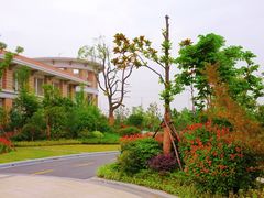 -常州武进九洲喜来登酒店