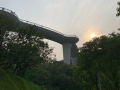 -飞凤山奥体公园