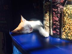 iphone_upload_pic-星宿秘码(鼓浪屿老店)