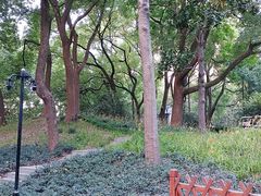 -徐家汇源景区-衡山公园