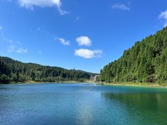 -武陵山森林公园