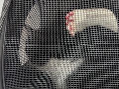 -宠颐生宠物医院·综合诊疗(先锋分院)
