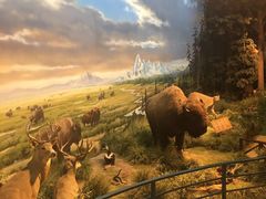 -陕西自然博物馆