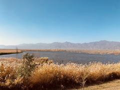 -野鸭湖国家湿地公园