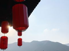 -大唐贡茶院