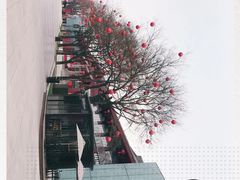 -大雁塔北广场音乐喷泉