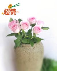 -翎兰瑜伽·普拉提