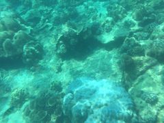 -班拉雅潜水度假村