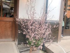 -中村藤吉(本店)