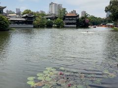 -荔湾湖公园
