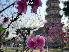 -船政文化景区-罗星塔公园