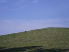 -上海山野camping·户外天幕烧烤·团建拓展营地