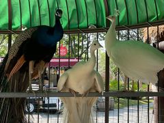 -珠海海泉湾神秘岛亲子乐园