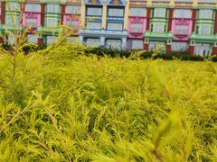-广州花之恋城堡酒店