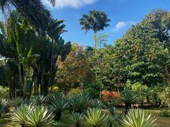 -中国科学院西双版纳热带植物园