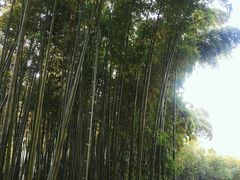 -苏州河梦清园环保主题公园