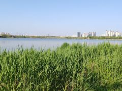 -水西公园