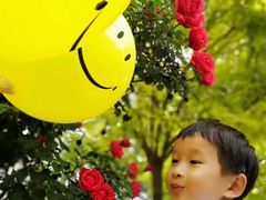 -糖心家族国际幼儿园·托育园(南开水上公园店)