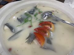 -淳安二十八道·美食汇·淳鱼馆(阳光路店)