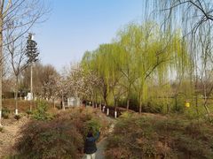 -西安汉城湖景区