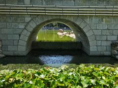 -莲湖公园