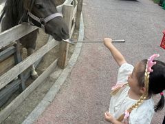 -水上乐园·欢乐世界