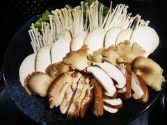 -锅说大脸毛肚重庆老火锅(佐阾店)