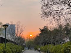 -南京医科大学(江宁校区)