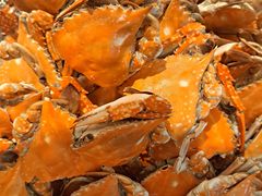 -广交会威斯汀酒店