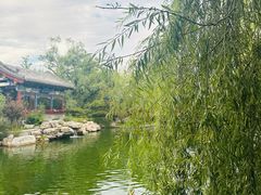 -迎泽公园