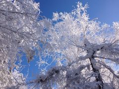 -雪谷