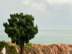 -小麦岛公园