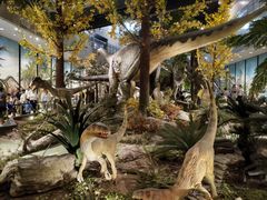 -湖南省地质博物馆