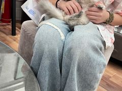 -袖虎·猫馆(体育西路店)