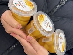 -Salud撒露欧洲冻酸奶(北苑上品店)