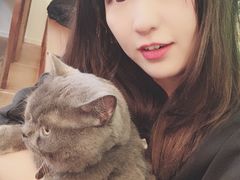 -李小姐の猫咖啡馆(五角场店)