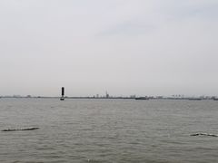 -海鸥岛