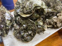 阳江炊蚝-大富蚝乌东哥饭店·石锅鱼杂·柠檬鸭(革新路店)