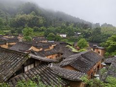 -杨家堂村