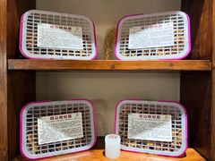 -崂山水果园农家宴(泉水鸡店)