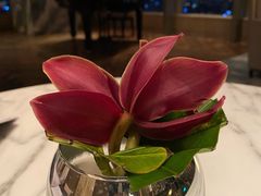 -悦厅·下午茶(杭州柏悦酒店)